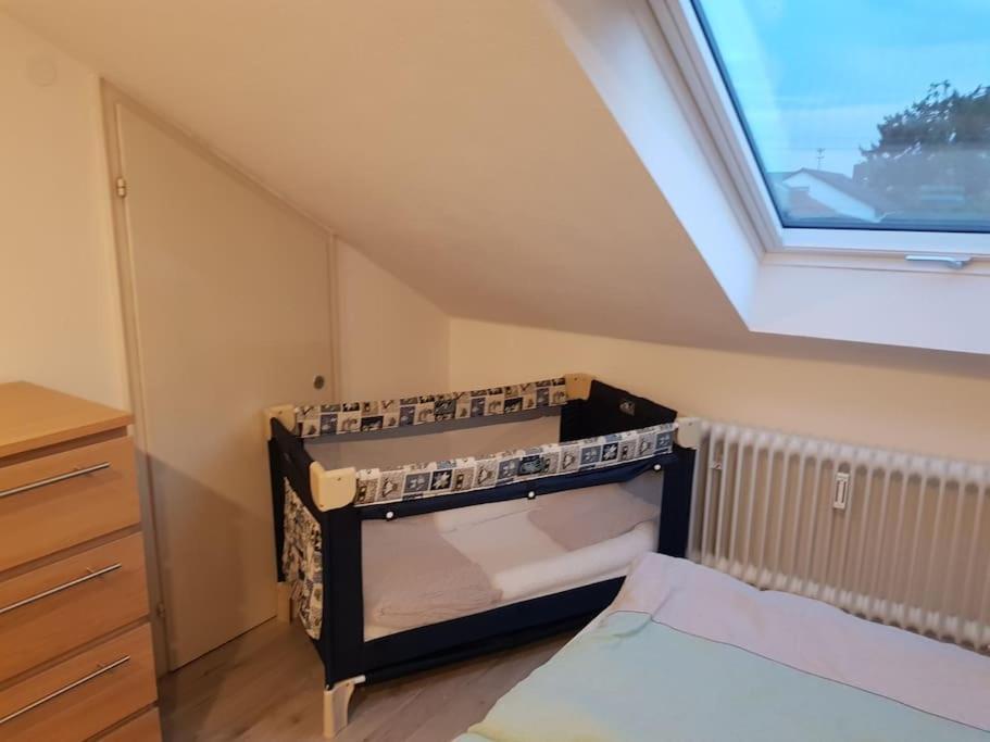 Gemuetliche Wohnung Bei Bad Waldsee Mit Balkon Exterior foto